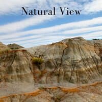 Natural View