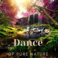 Dance of Pure Nature