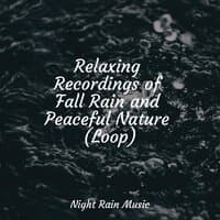 Relaxing Recordings of Fall Rain and Peaceful Nature (Loop)