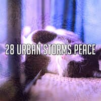 28 Urban Storms Peace