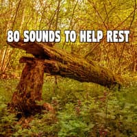 80 Sounds to Help Rest