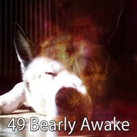 49 Bearly Awake