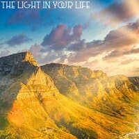 The Light in Your Life