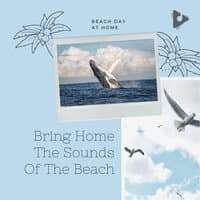 Bring Home The Sounds Of The Beach