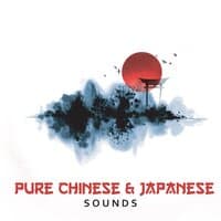 Pure Chinese & Japanese Sounds - Asian Music for Early Meditation Session