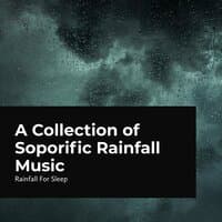 A Collection of Soporific Rainfall Music