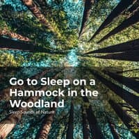 Go to Sleep on a Hammock in the Woodland