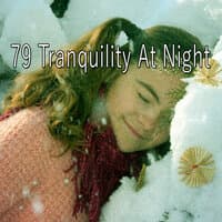 79 Tranquility At Night