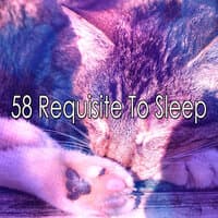 58 Requisite to Sle - EP