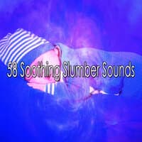 58 Soothing Slumber Sounds