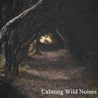 Calming Wild Noises