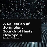 A Collection of Somnolent Sounds of Hasty Downpour