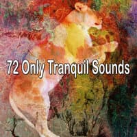 72 Only Tranquil Sounds