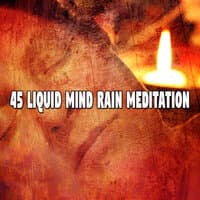 45 Liquid Mind Rain Meditation