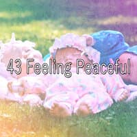 43 Feeling Peaceful