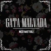 Gata Malvada