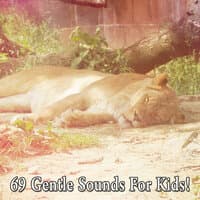 69 Gentle Sounds for Kids!