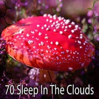 70 Sleep in the Clouds