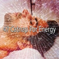 47 Catnap for Energy