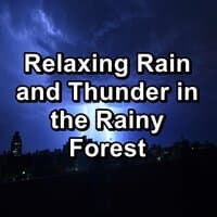 Relaxing Rain and Thunder in the Rainy Forest