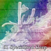 61 Specialised Sleep