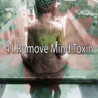 41 Remove Mind Toxin