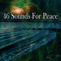 46 Sounds for Peace