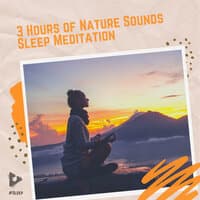 3 Hours of Nature Sounds Sleep Meditation