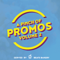 A Pinch of Promos, Vol. 2