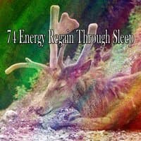 74 Energy Regain Through Sleep