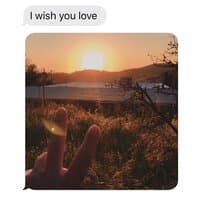 I Wish You Love