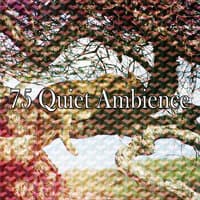 75 Quiet Ambience