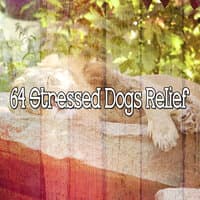 64 Stressed Dogs Relief