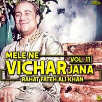 Mele Ne Vichar Jana, Vol. 11