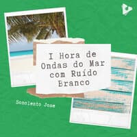 1 Hora de Ondas do Mar com Ruído Branco