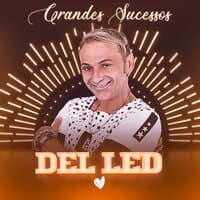 Grandes Sucessos (Ao Vivo)