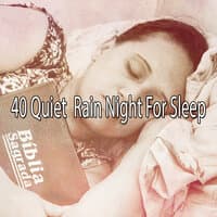 40 Quiet Rain Night for Sle - EP