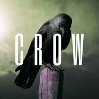 Crow