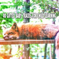 40 Gifted Baby Tracks for Child Learning