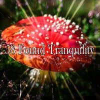 58 Found Tranquility