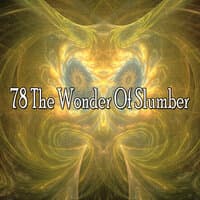 78 The Wonder of Slumber