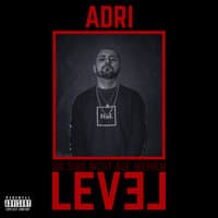 Level