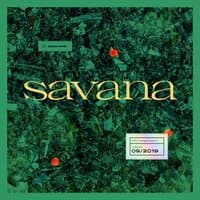 Savana