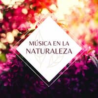 Música en la Naturaleza: Canciones Tranquilas con el Sonido de los Animales para Niños