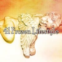 41 Frozen Lifestyle