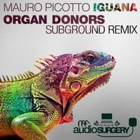 Iguana (Organ Donors Subground Rework)