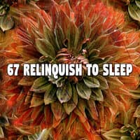 67 Relinquish to Sle - EP