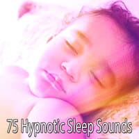 75 Hypnotic Sleep Sounds