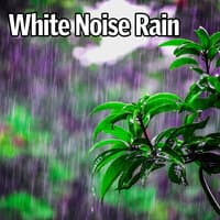 White Noise Rain