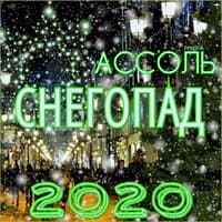 Снегопад 2020